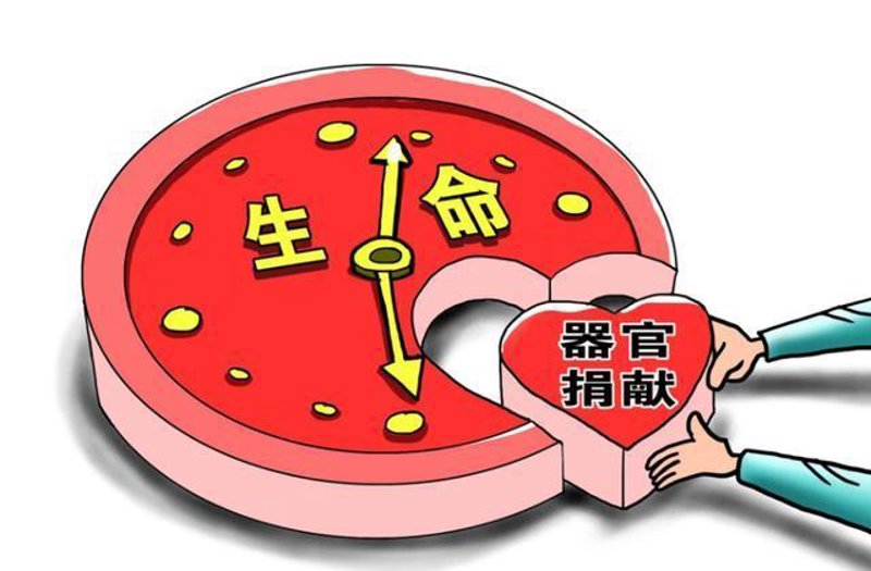 器官捐赠:生命之桥的传递